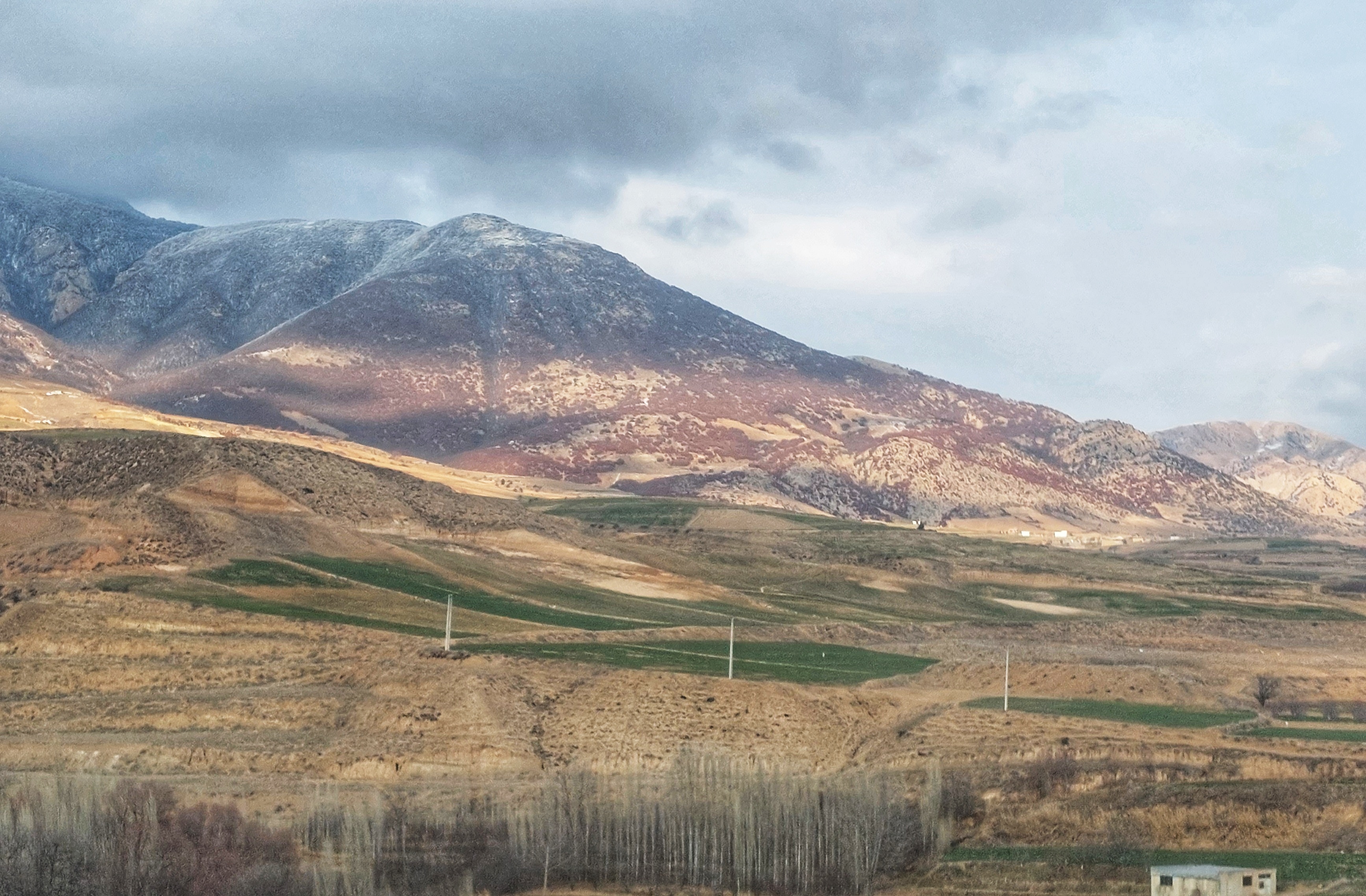 Golestan Province: A Rising Star in Iranian Saffron Production
