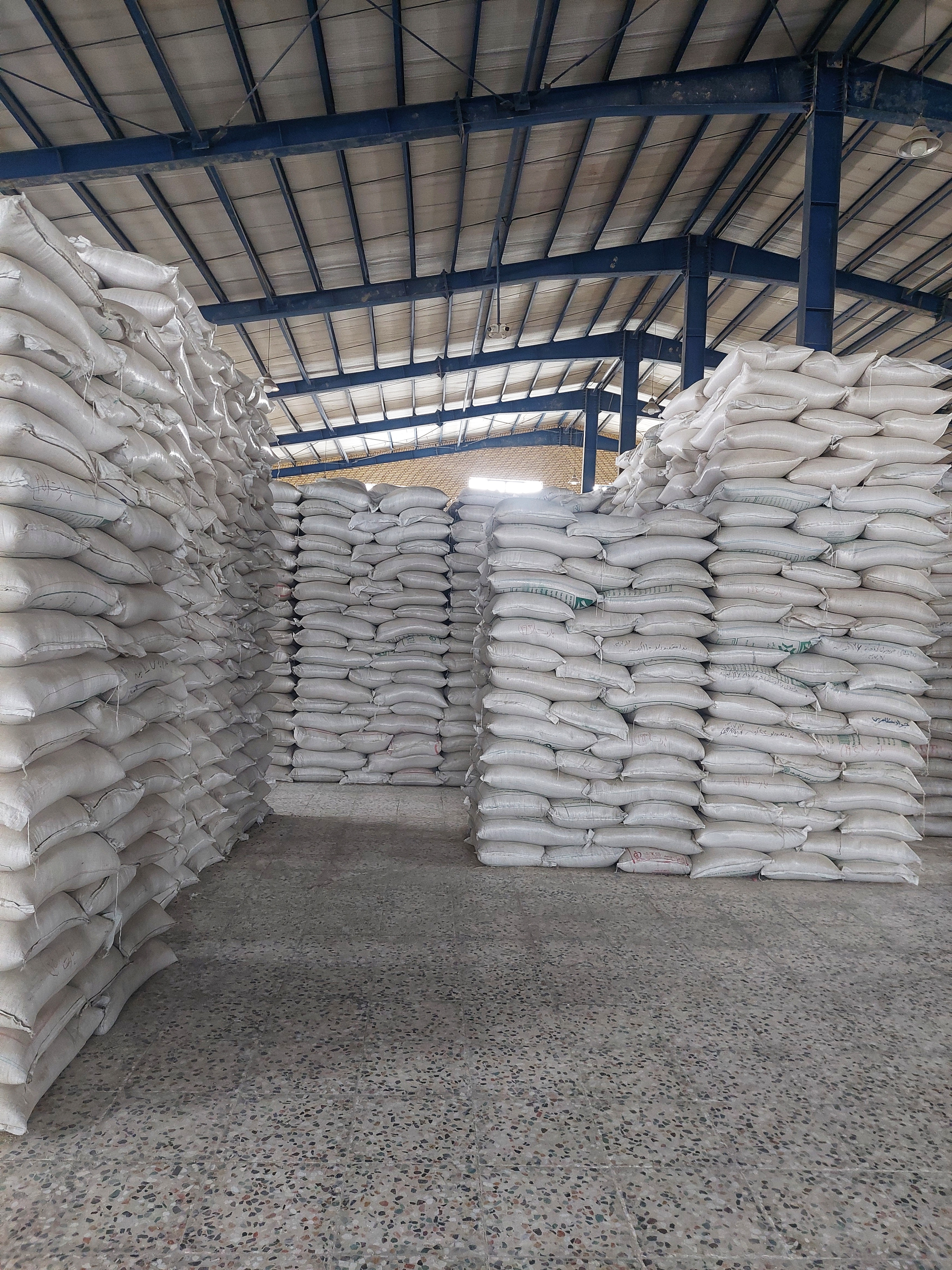 Fajr Rice: A Rising Star in Iran’s Rice Fields
