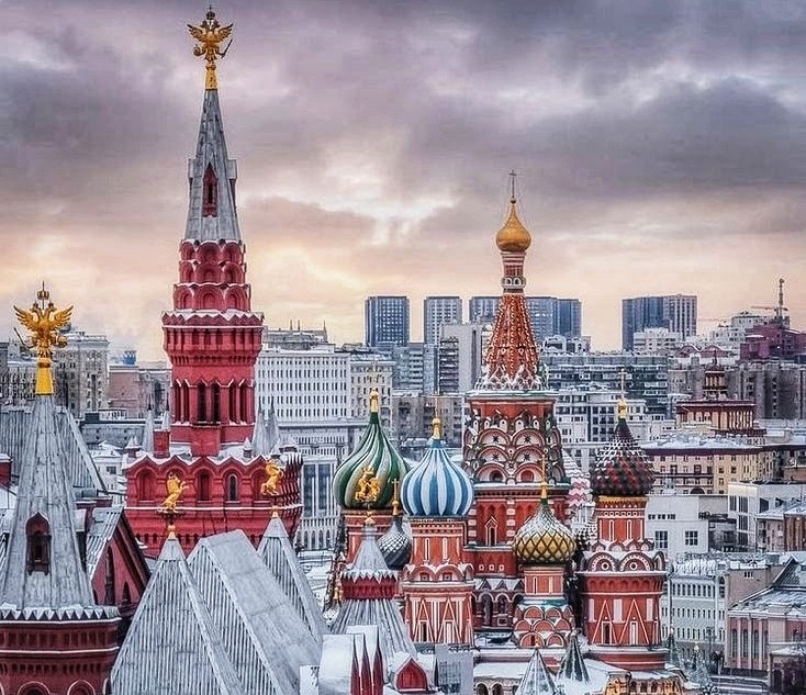 Iranian Black Tea in Russia: Wholesale Pricing, Market Trends & Consumer Preferences (2025)