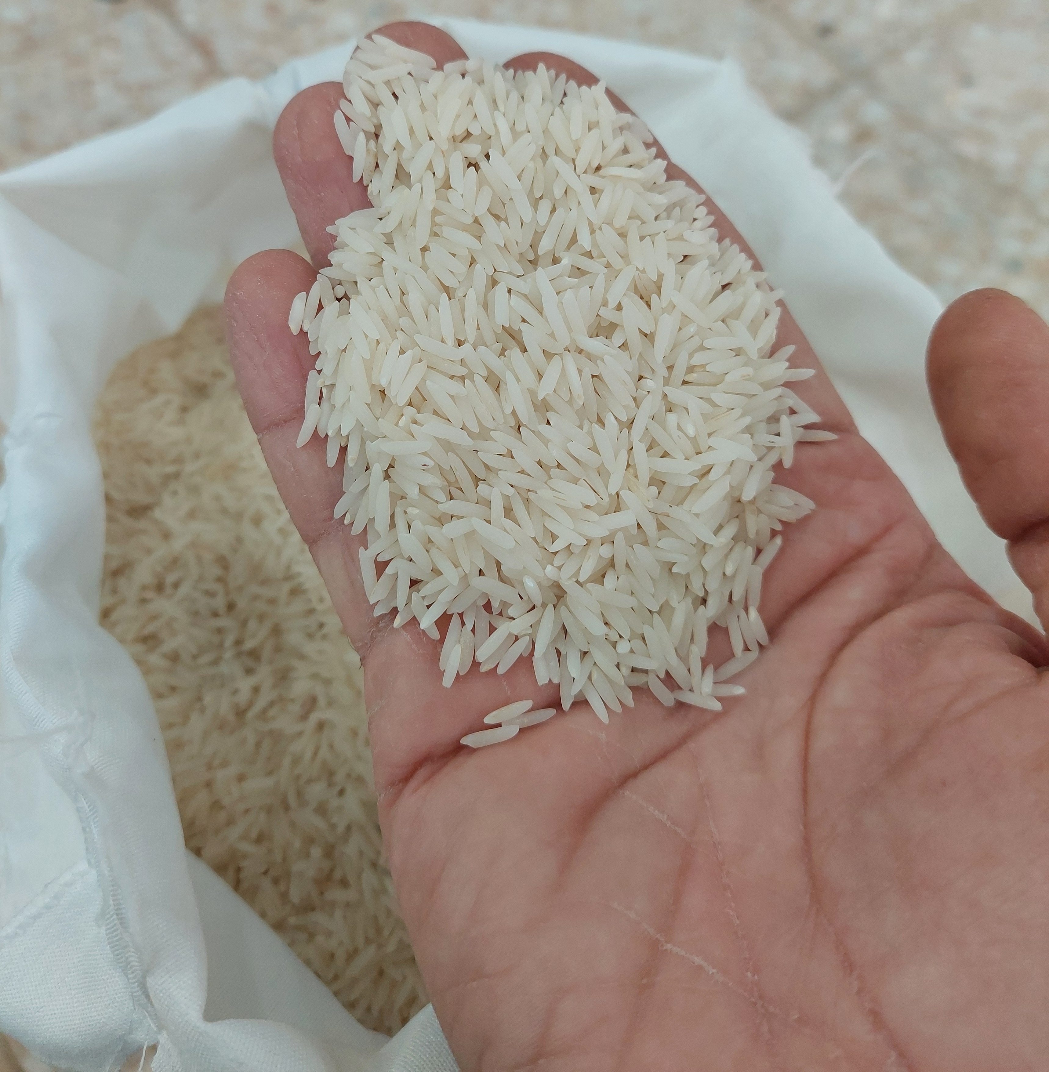 Discover the Allure of Iranian Black Tail Rice: A Culinary Gem