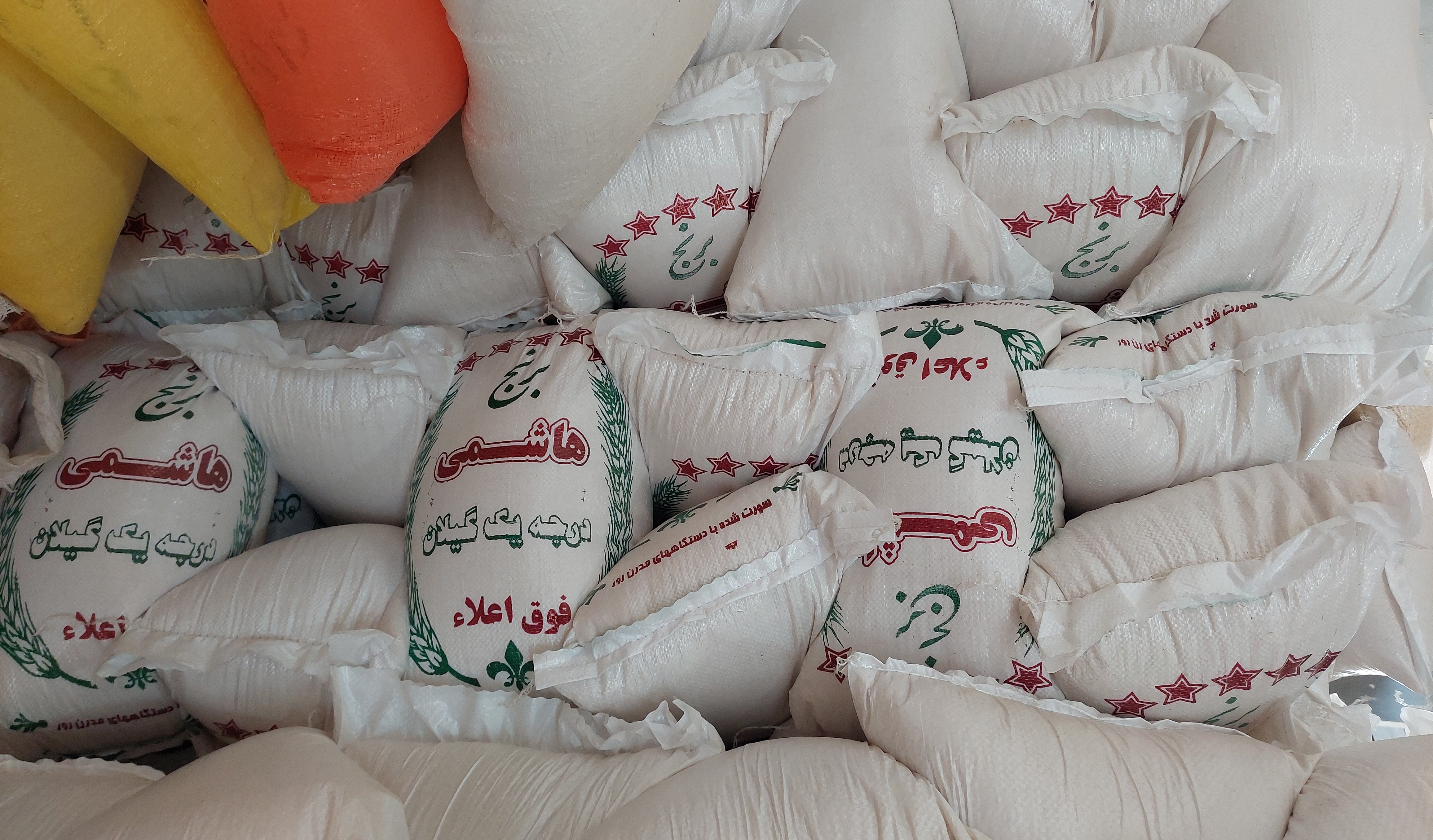 Main Types of Iranian Rice and Cultivated Areas in Gilan Province