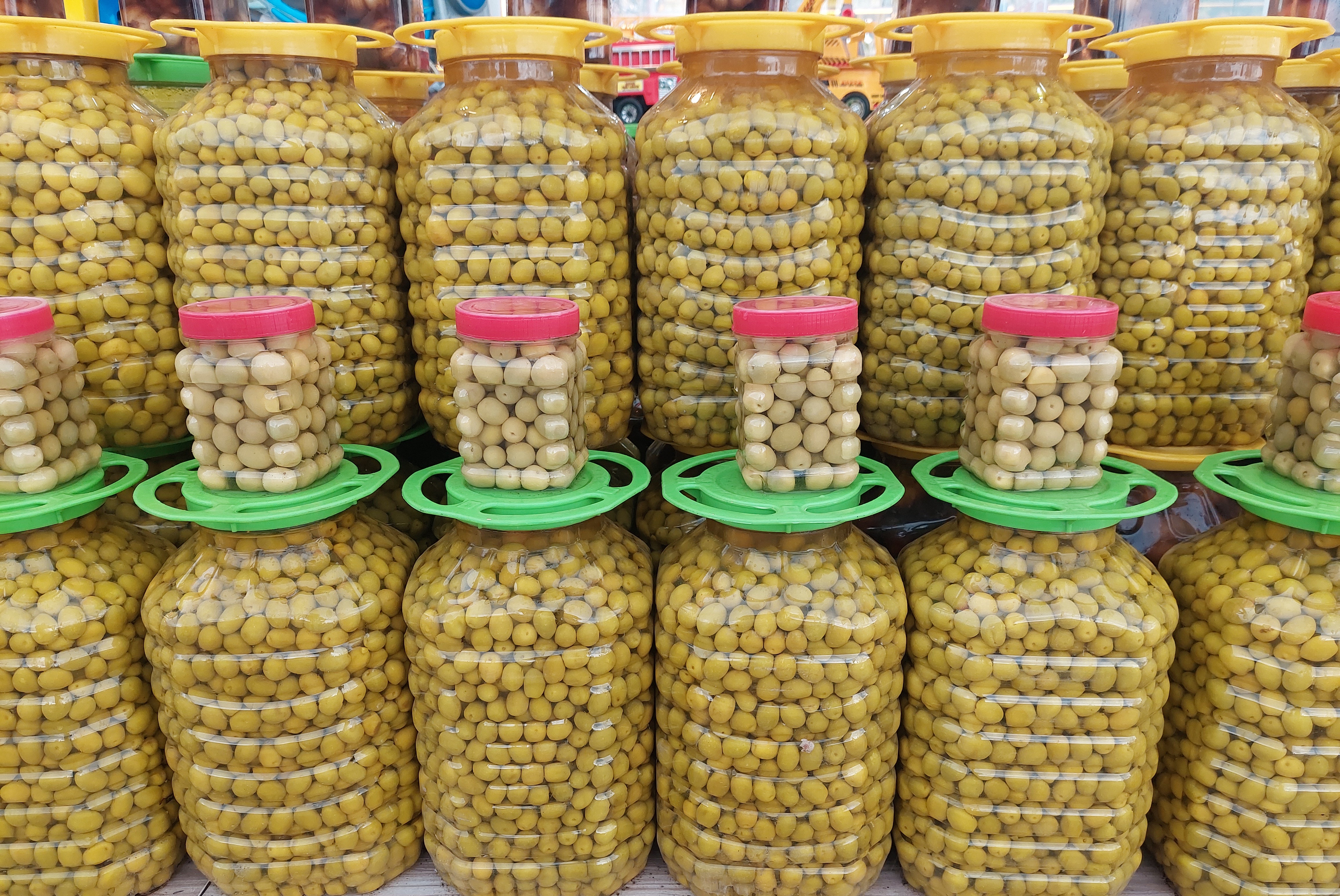 Exploring the Middle Eastern Market; Top Destinations for Iranian Olive and Olive Oil Exports in 2025