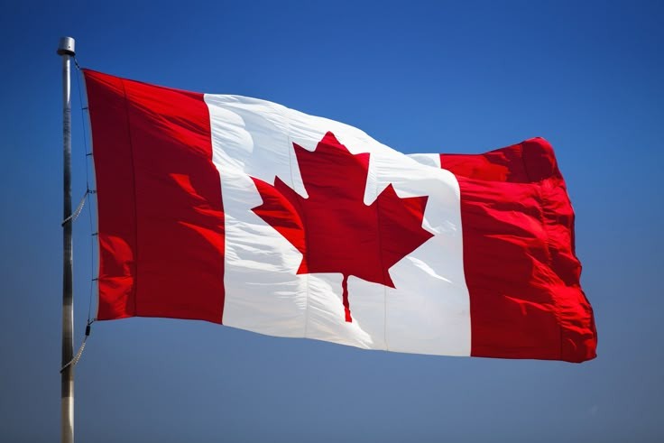CIF Price of Iranian Hashemi Rice in Canada; Market Demand, Trends & Business Insights (2025)