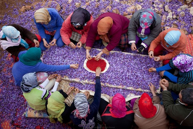 Unlock the Healing Power of Iranian Saffron: Nature’s Golden Spice